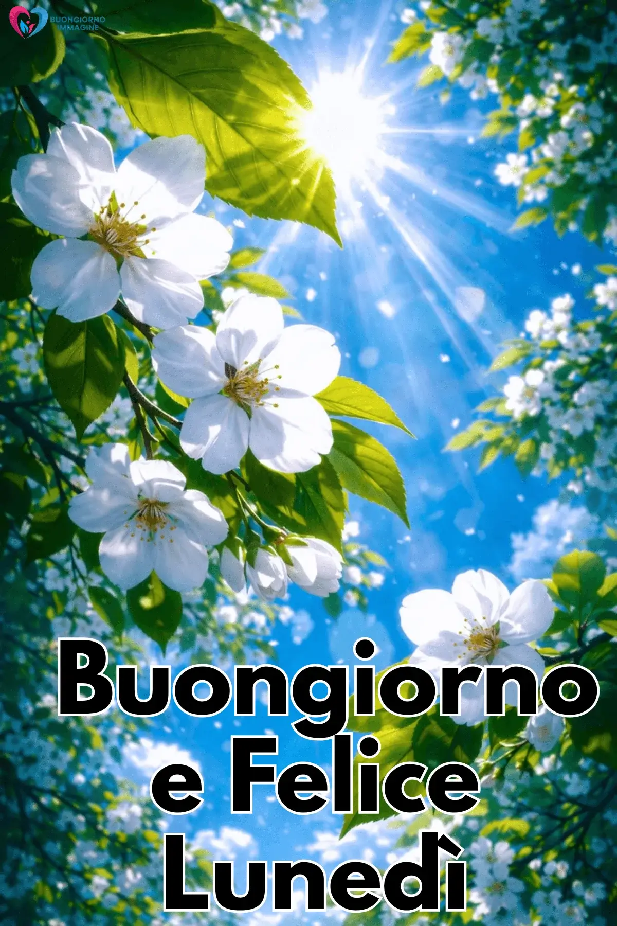 buongiorno lunedì con energia nuova