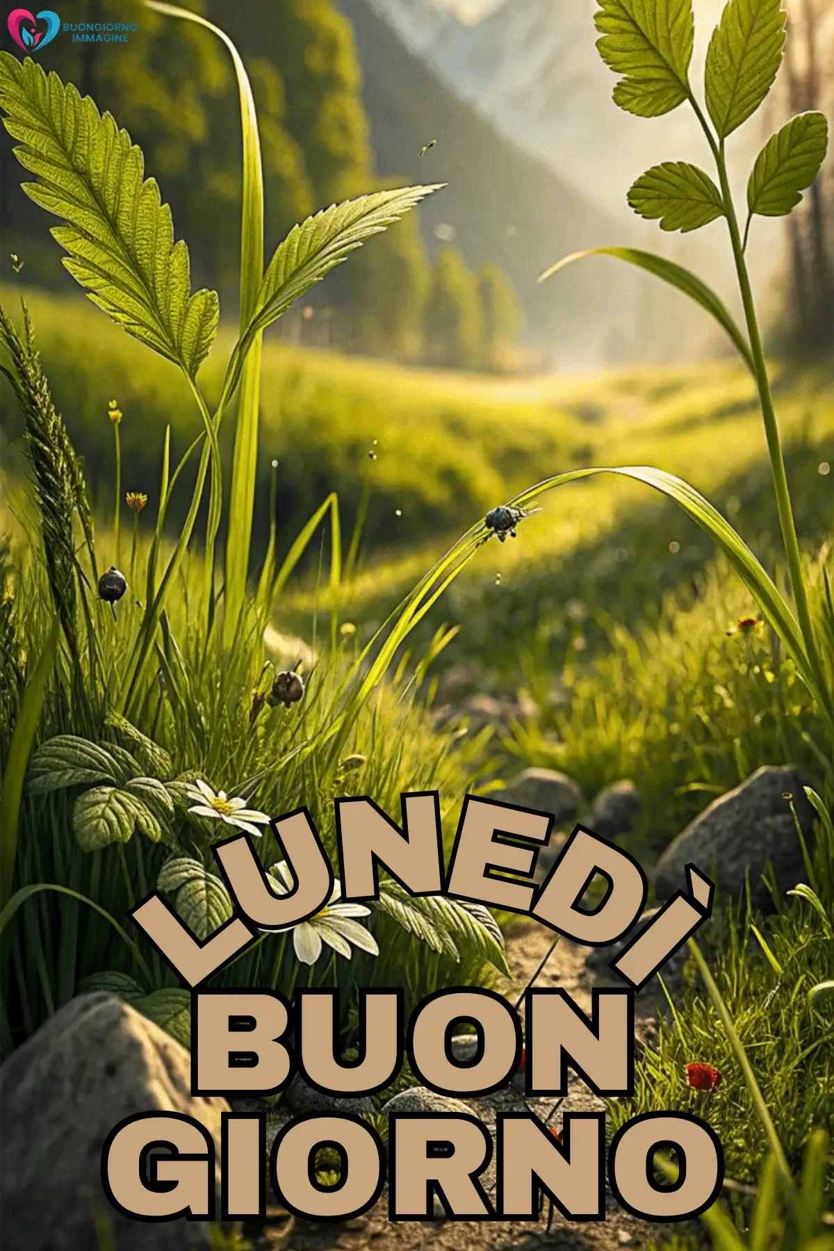 buongiorno lunedì immagini carine