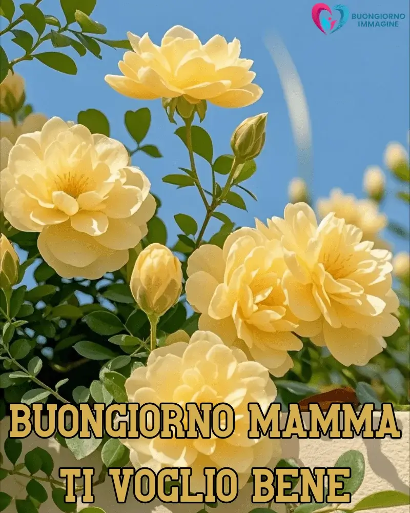 buongiorno mamma con natura e luce