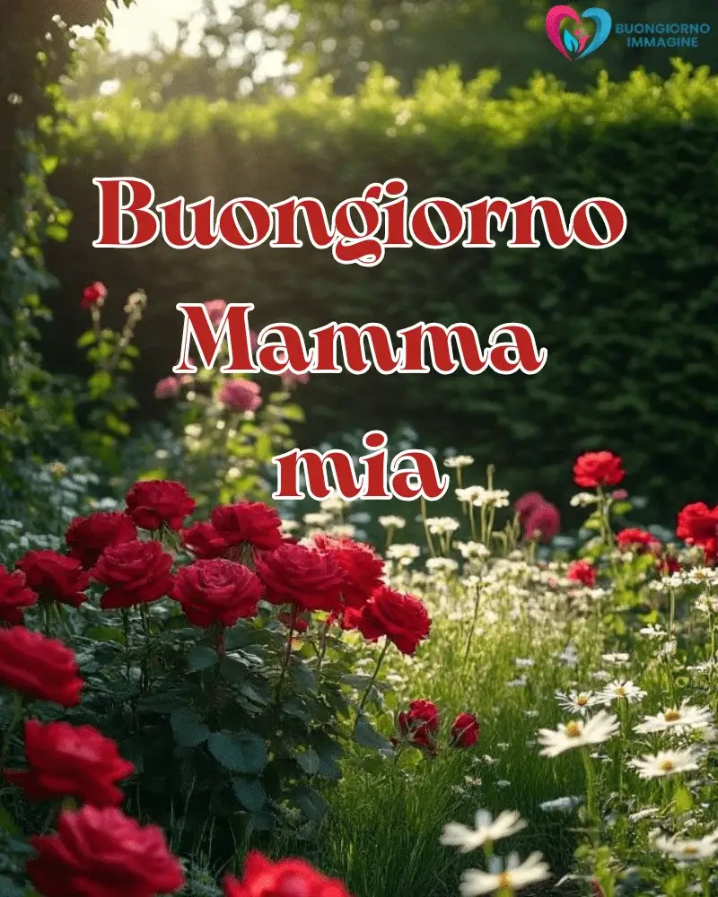 buongiorno mamma sei speciale
