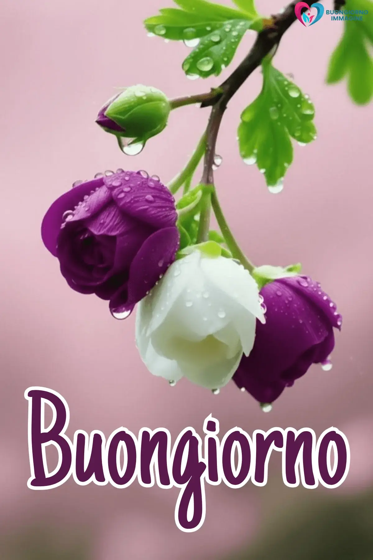 buongiorno pioggia con momenti rilassanti