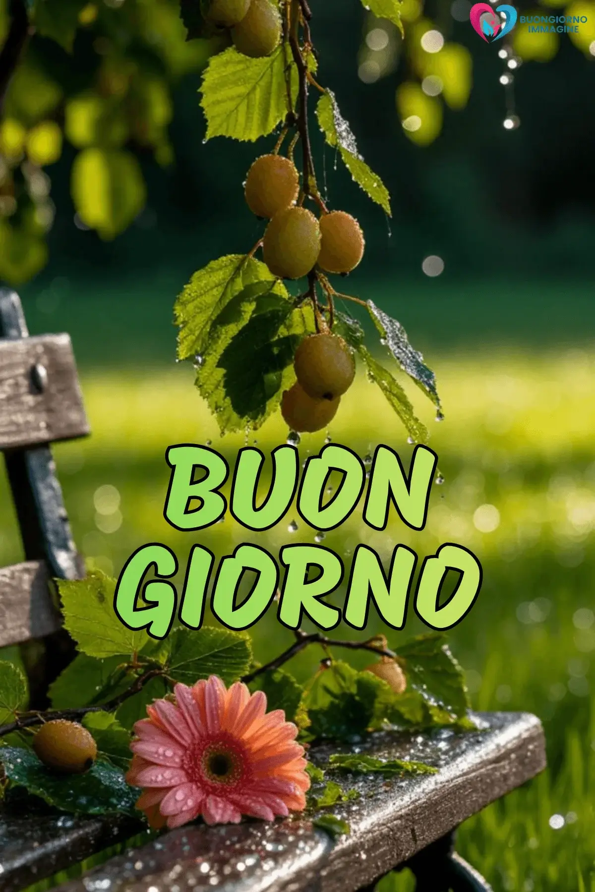 buongiorno pioggia con pensieri positivi del mattino