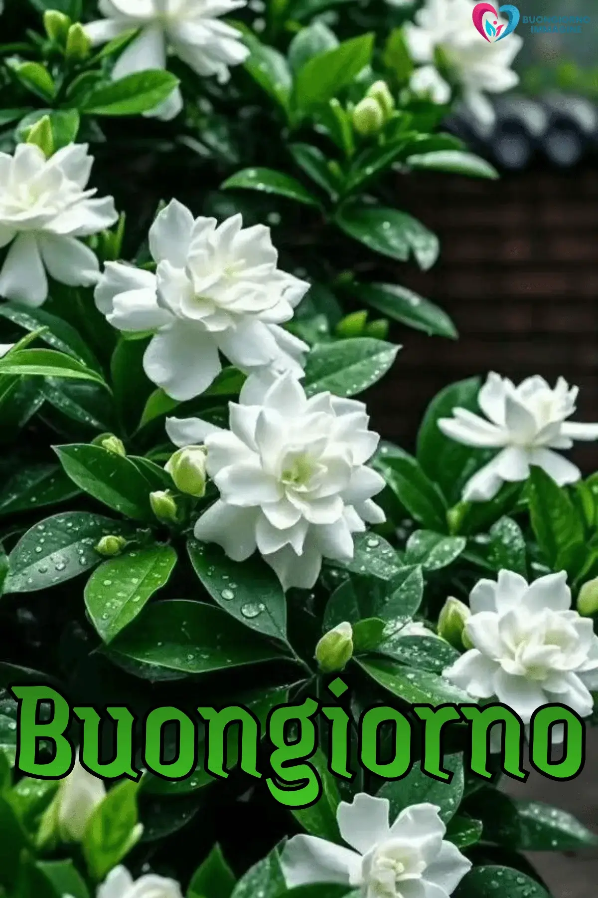 buongiorno pioggia con sorriso positivo