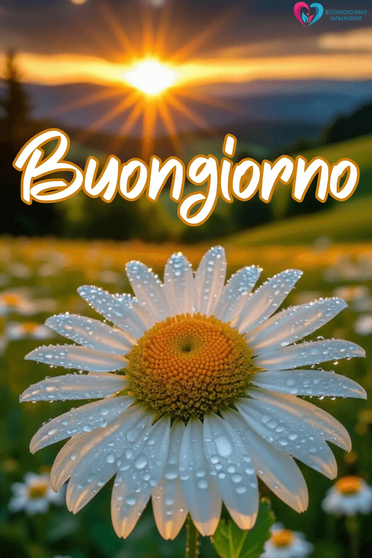 buongiorno pioggia con stile romantico