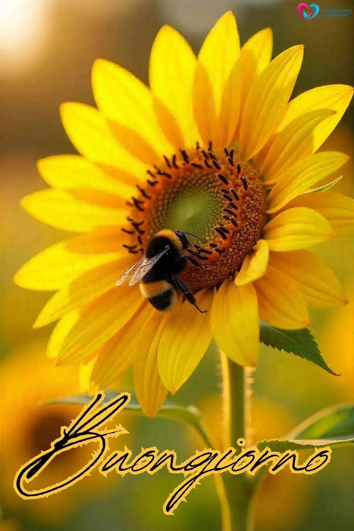 buongiorno speciale felice con finestra aperta e luce calda