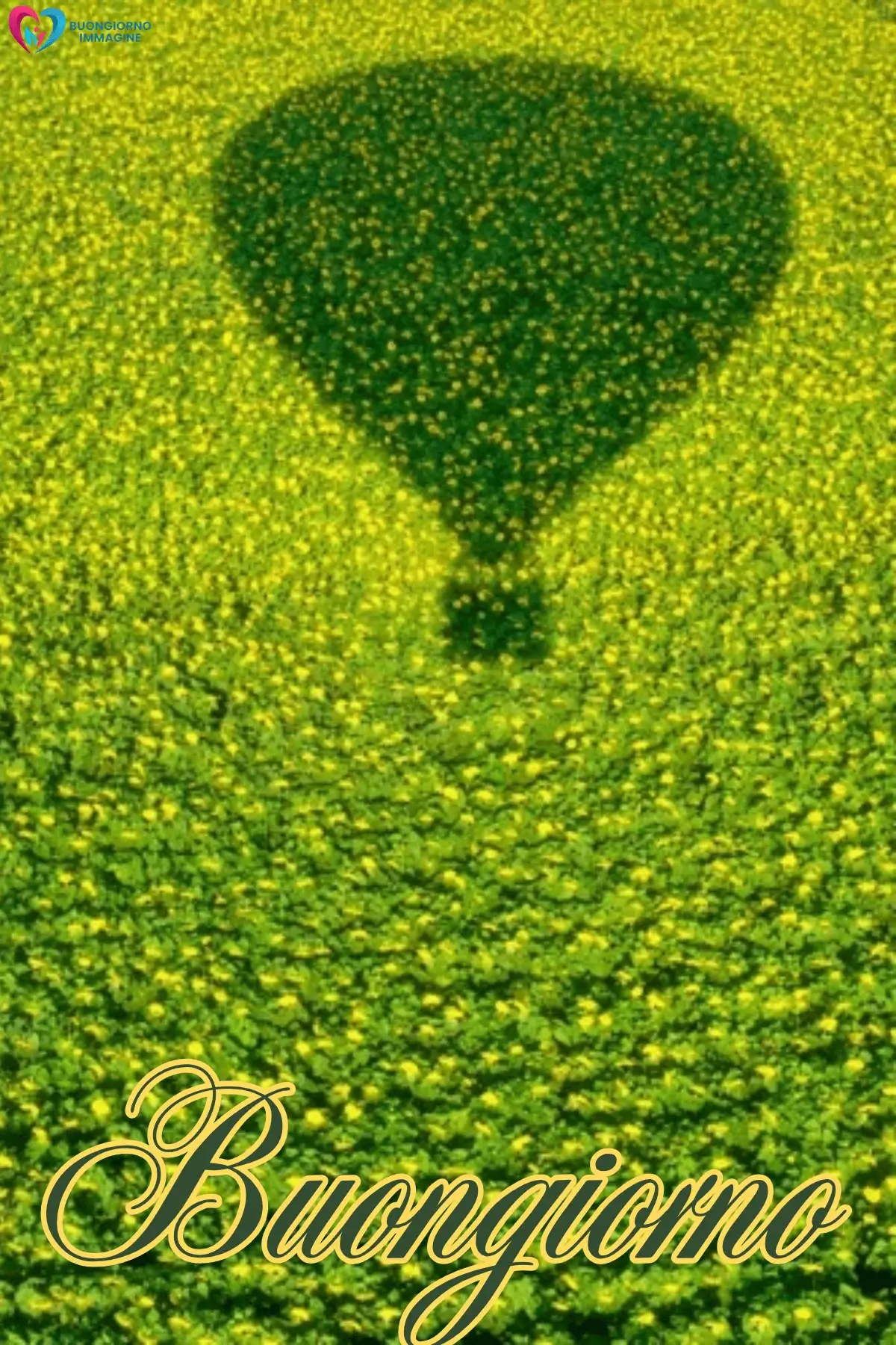 buongiorno toscano con natura e paesaggio mediterraneo