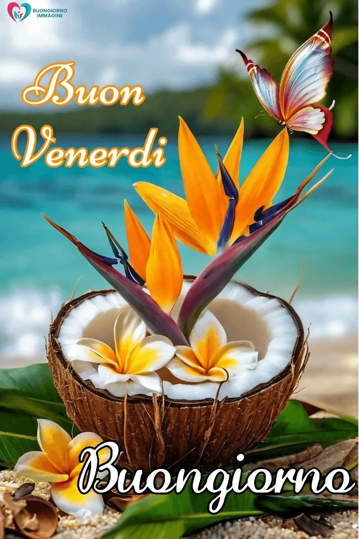 buongiorno venerdì immagini con energia dolce