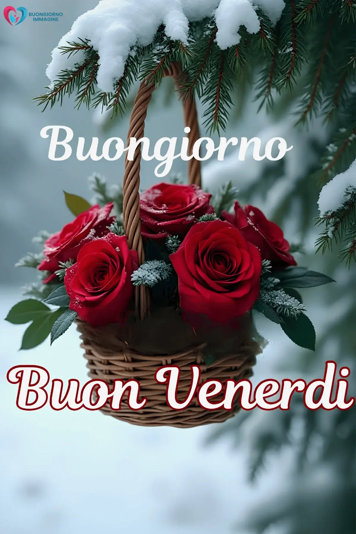 buongiorno venerdì immagini con energia positiva quotidiana