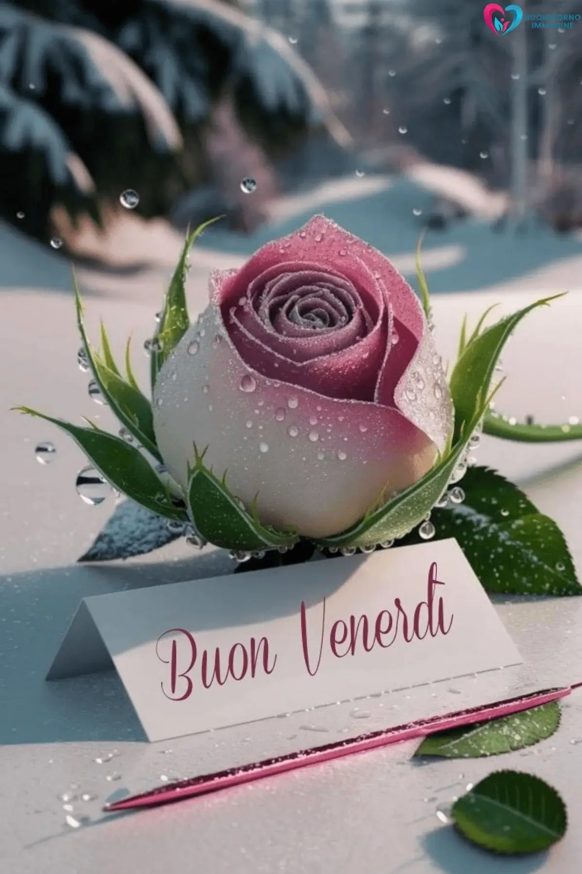buongiorno venerdì immagini con luce soffusa