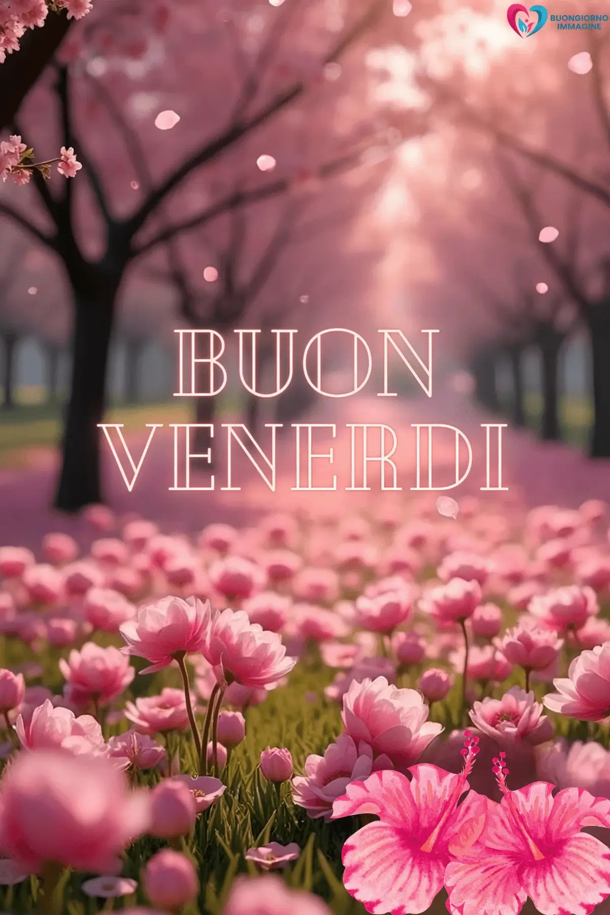 buongiorno venerdì immagini con messaggi dolci