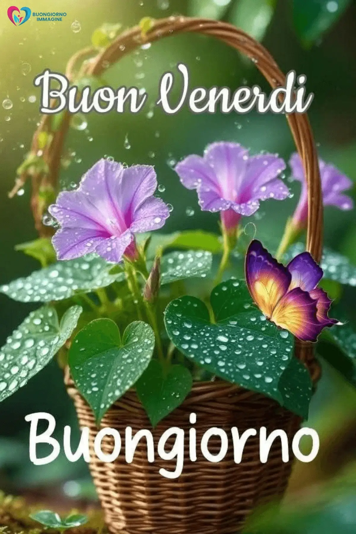 buongiorno venerdì immagini con stile minimal