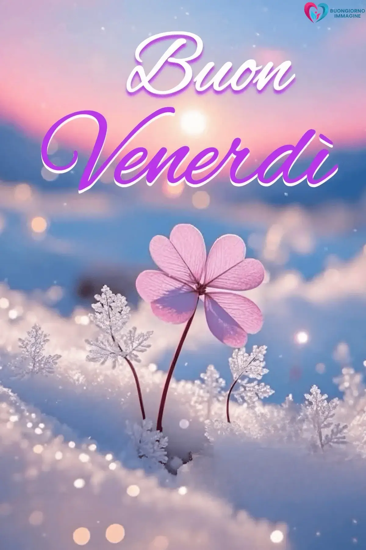 buongiorno venerdì immagini con vibe positiva