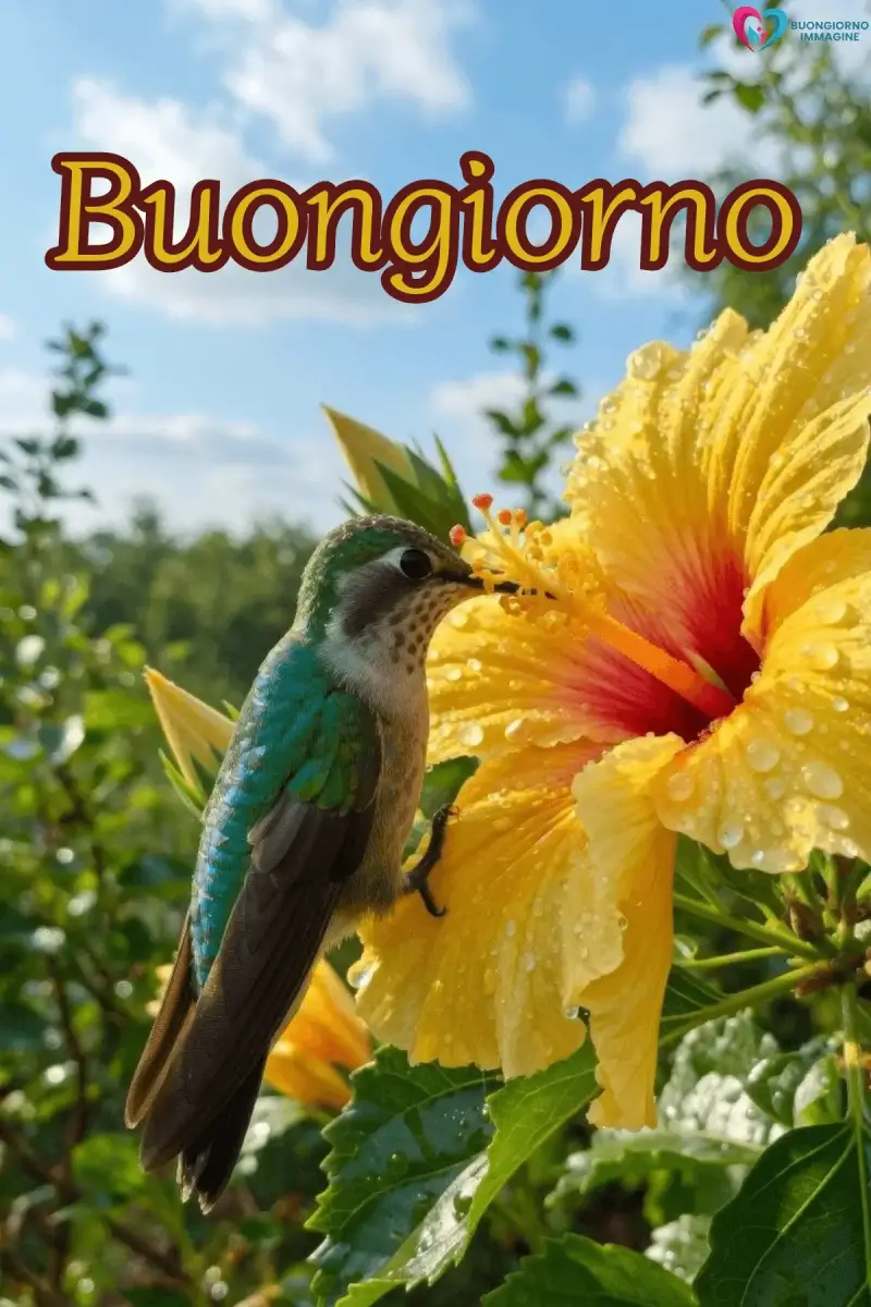 immagini buongiorno gratis per whatsapp