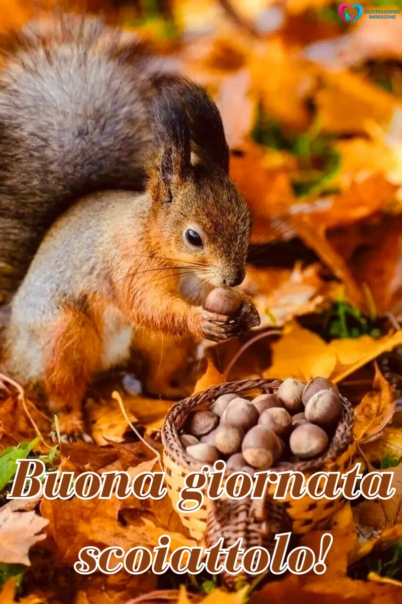 immagini buona giornata con montagne e nebbia leggera — buongiornoimmagine.it
