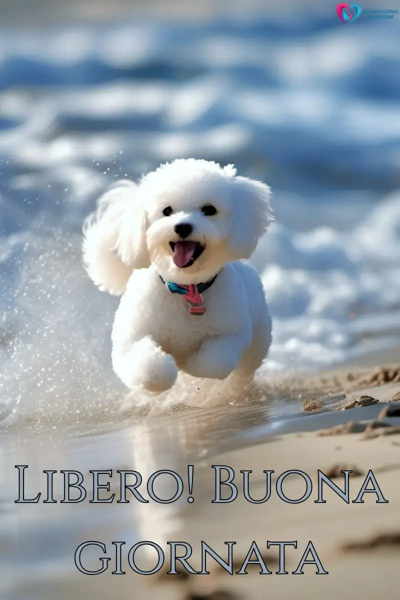 buona giornata divertente simpatica con finestra aperta e luce calda — buongiornoimmagine.it