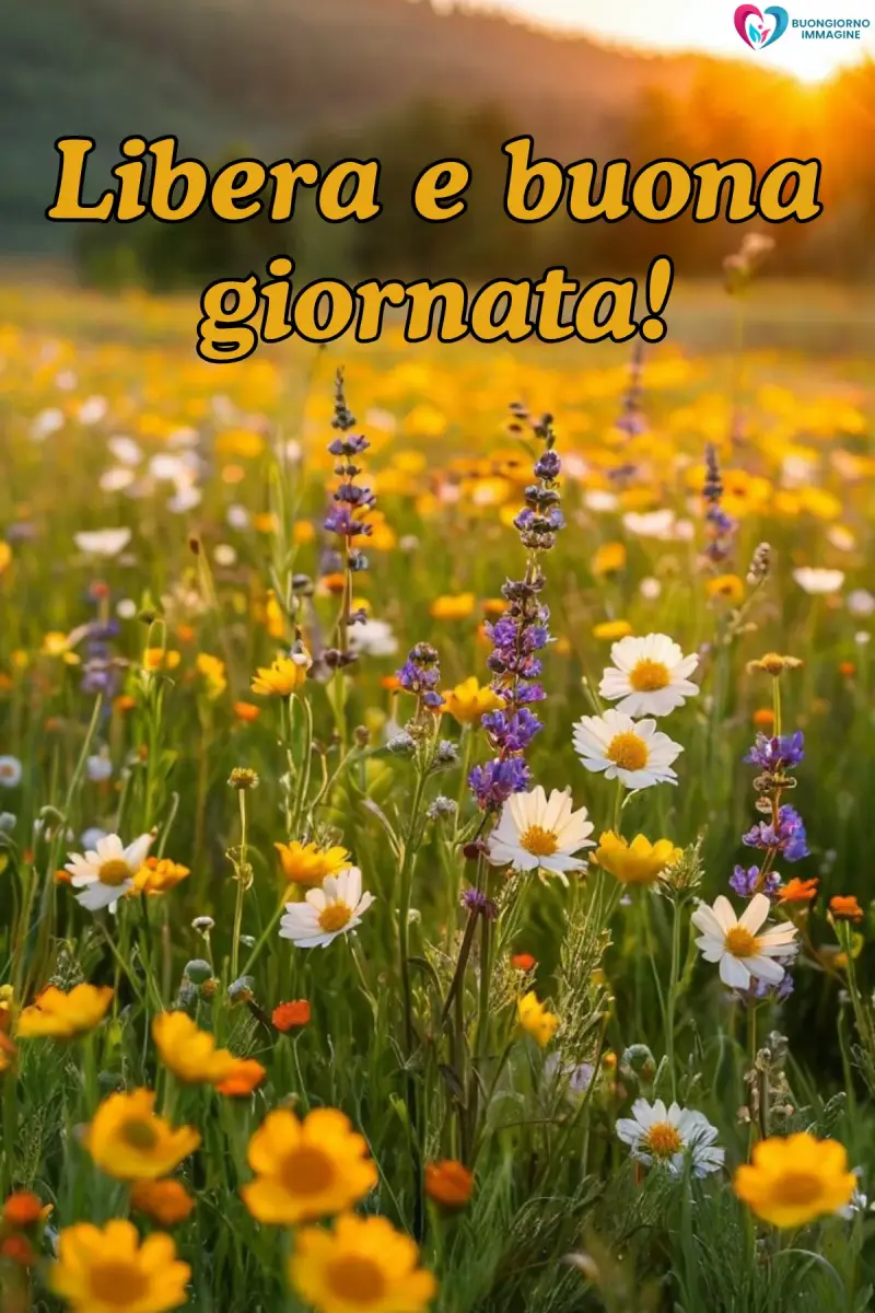 buona giornata divertente simpatica con bouquet di rose fresche