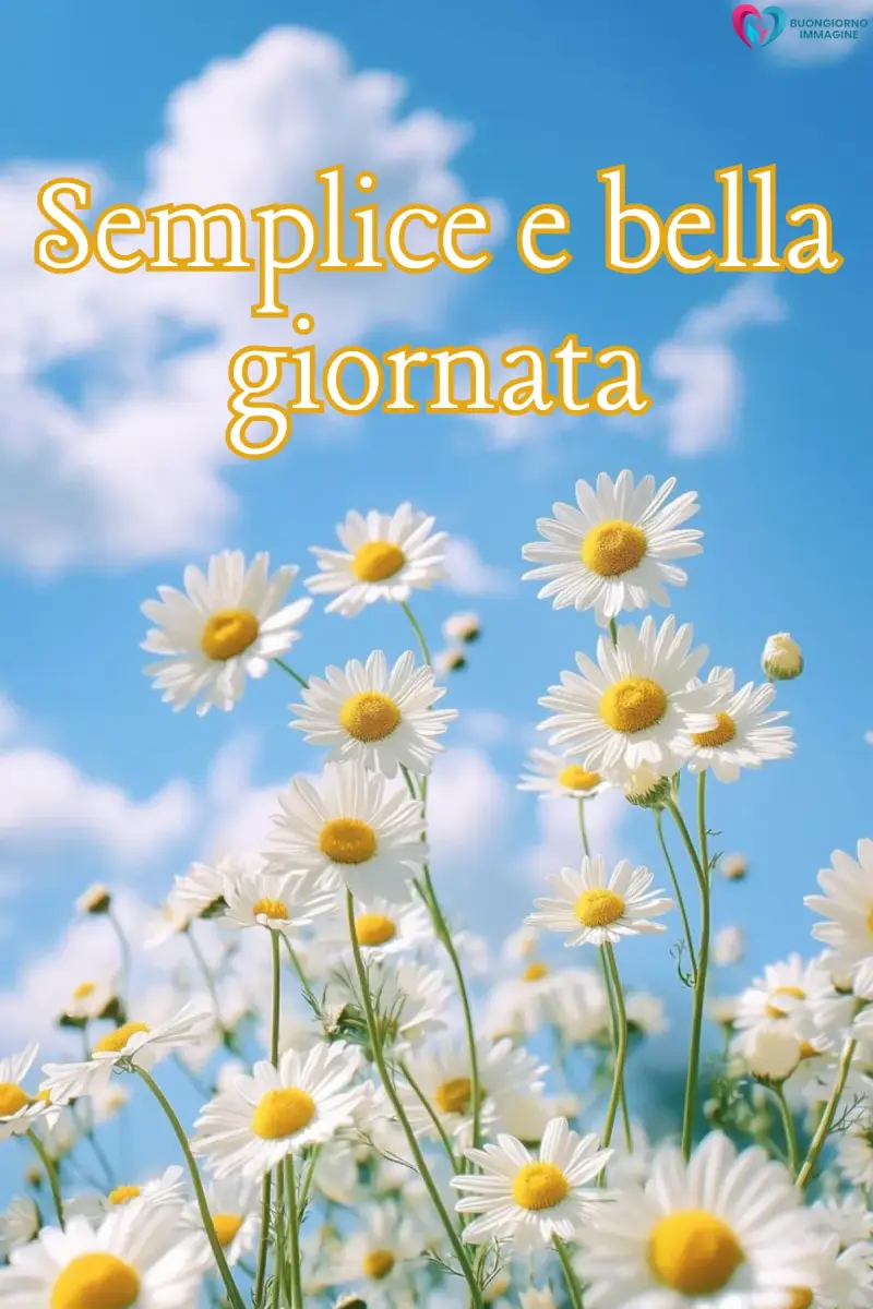 immagini buona giornata con mare e alba dorata