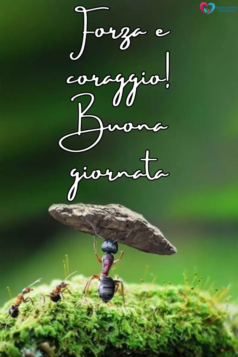 buona giornata immagini nuove con paesaggio luminoso del mattino