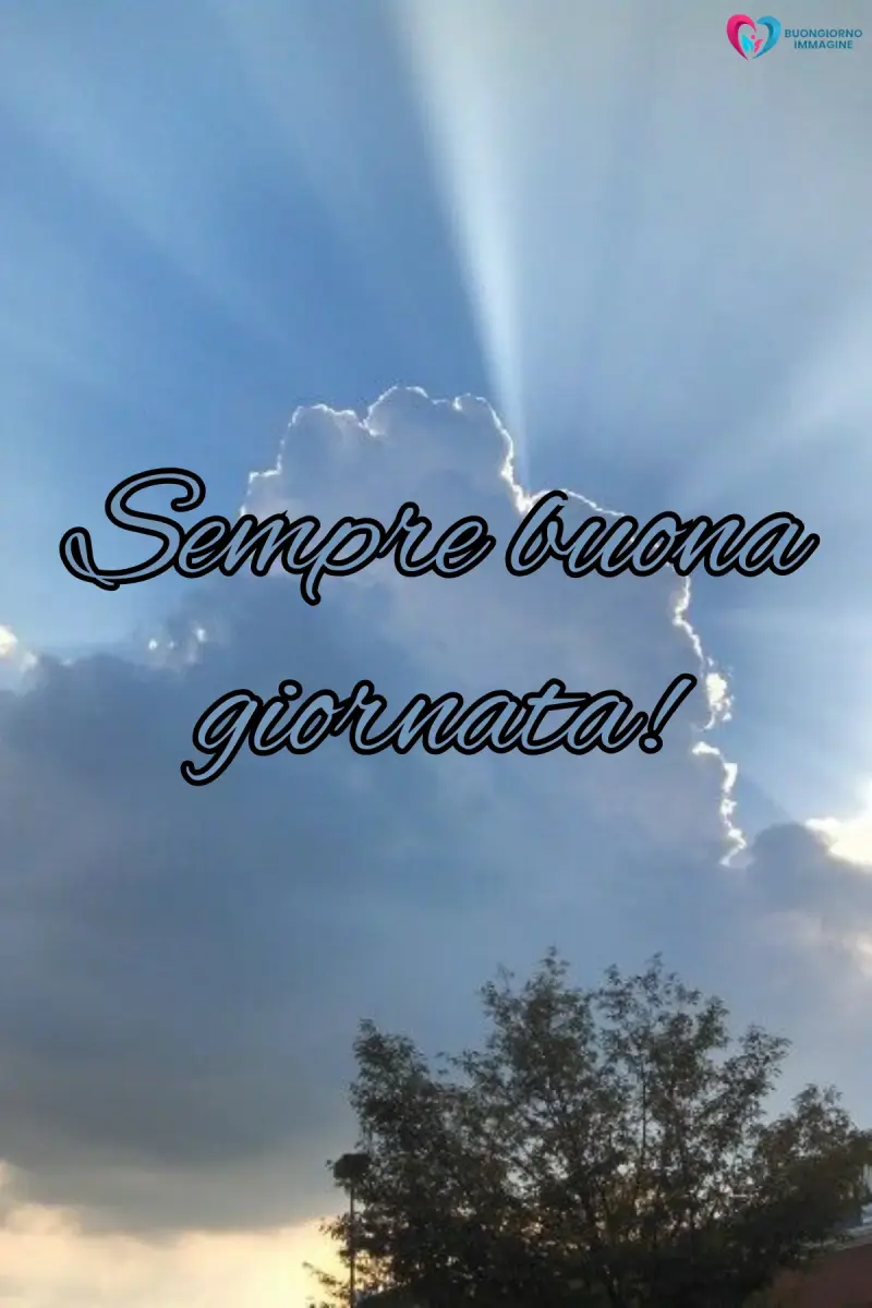 buona giornata immagini bellissime con fiori colorati e sole