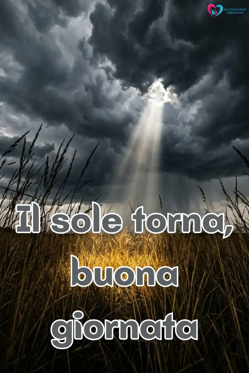 felice giornata immagini nuove con fiori colorati e sole