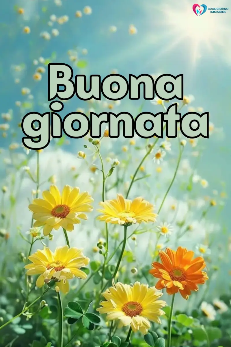 immagini buona giornata con paesaggio luminoso del mattino