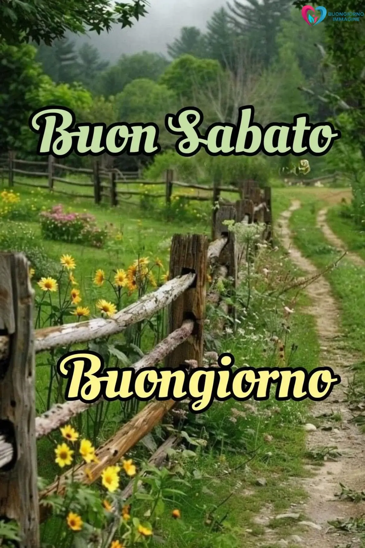 frasi buongiorno buon sabato con successo e vita