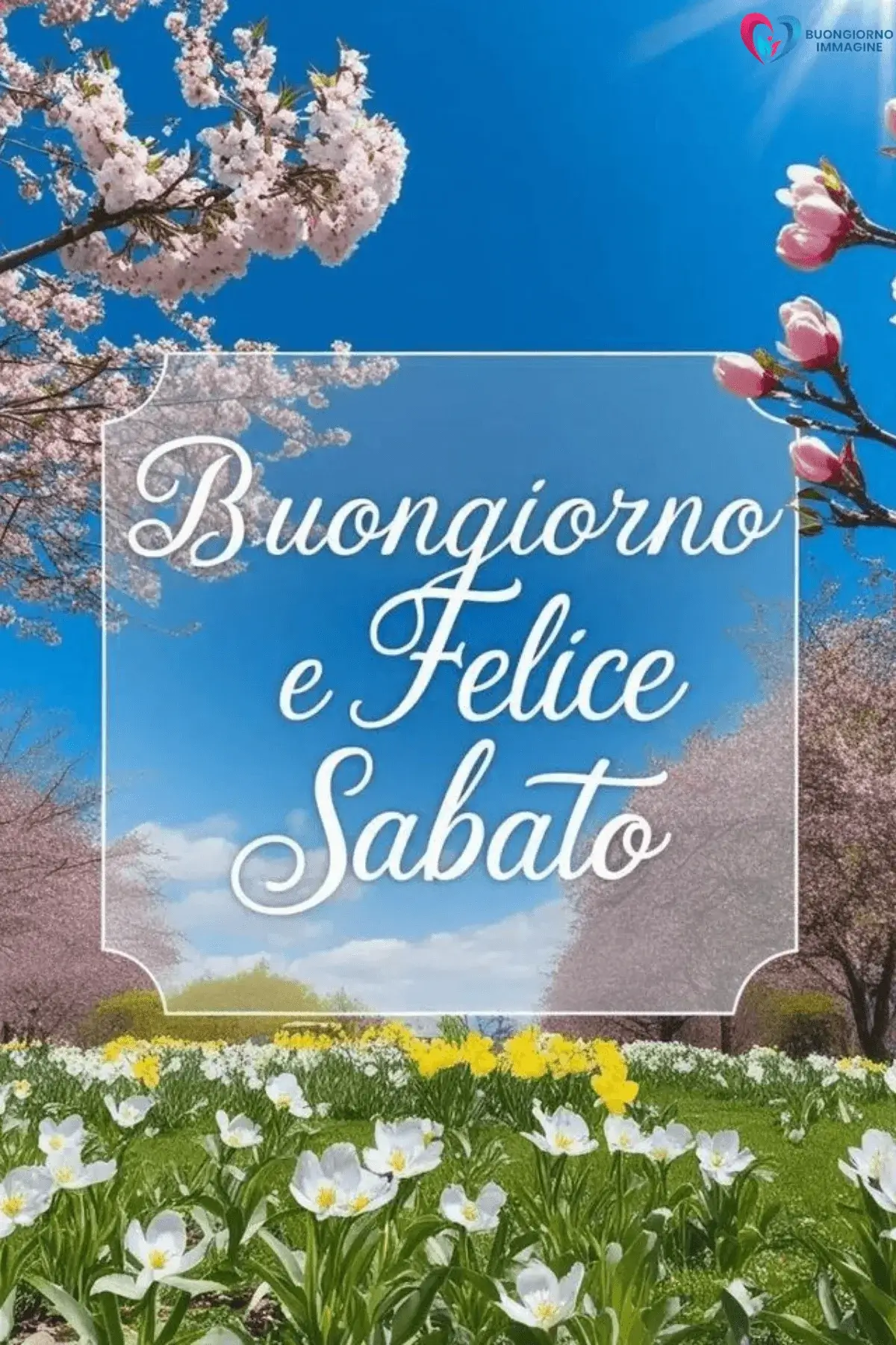 Buongiorno sabato con fiori di ciliegio