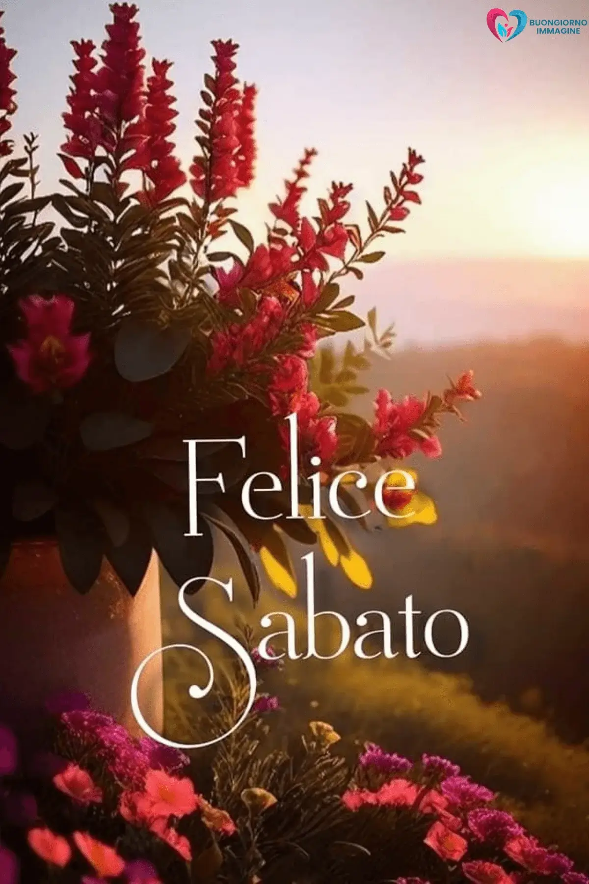 frasi buongiorno buon sabato per weekend positivo