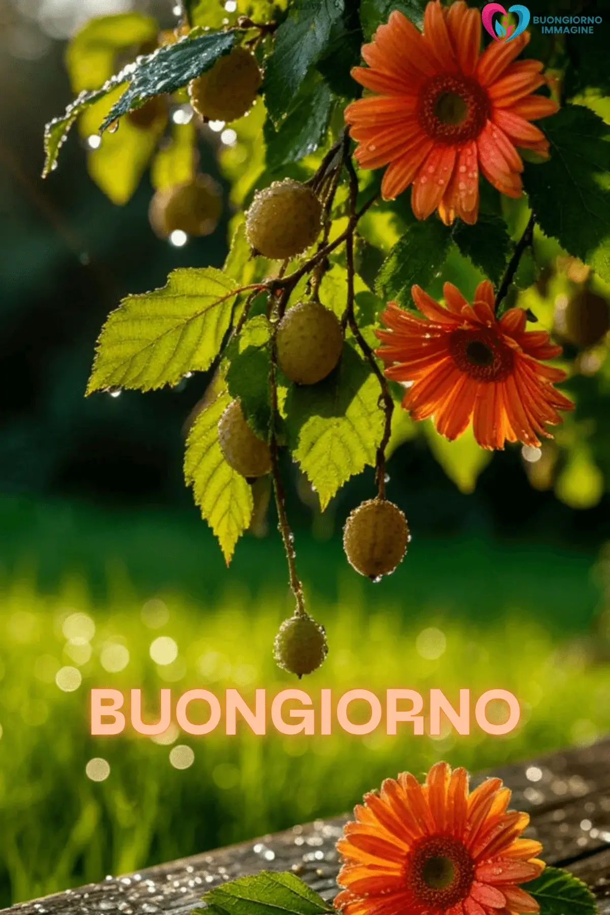 frasi buongiorno pioggia per WhatsApp gratis