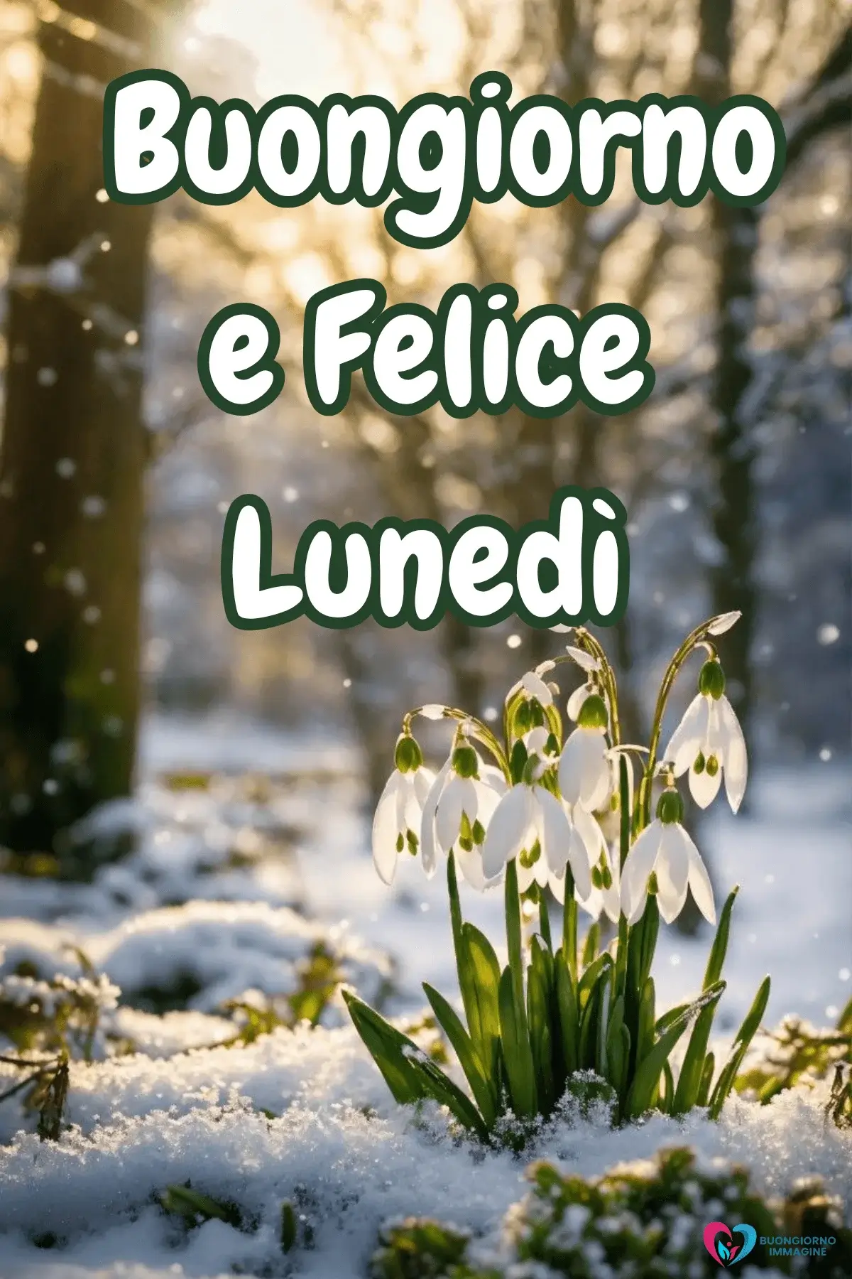 immagini buon lunedì serenità mattutina