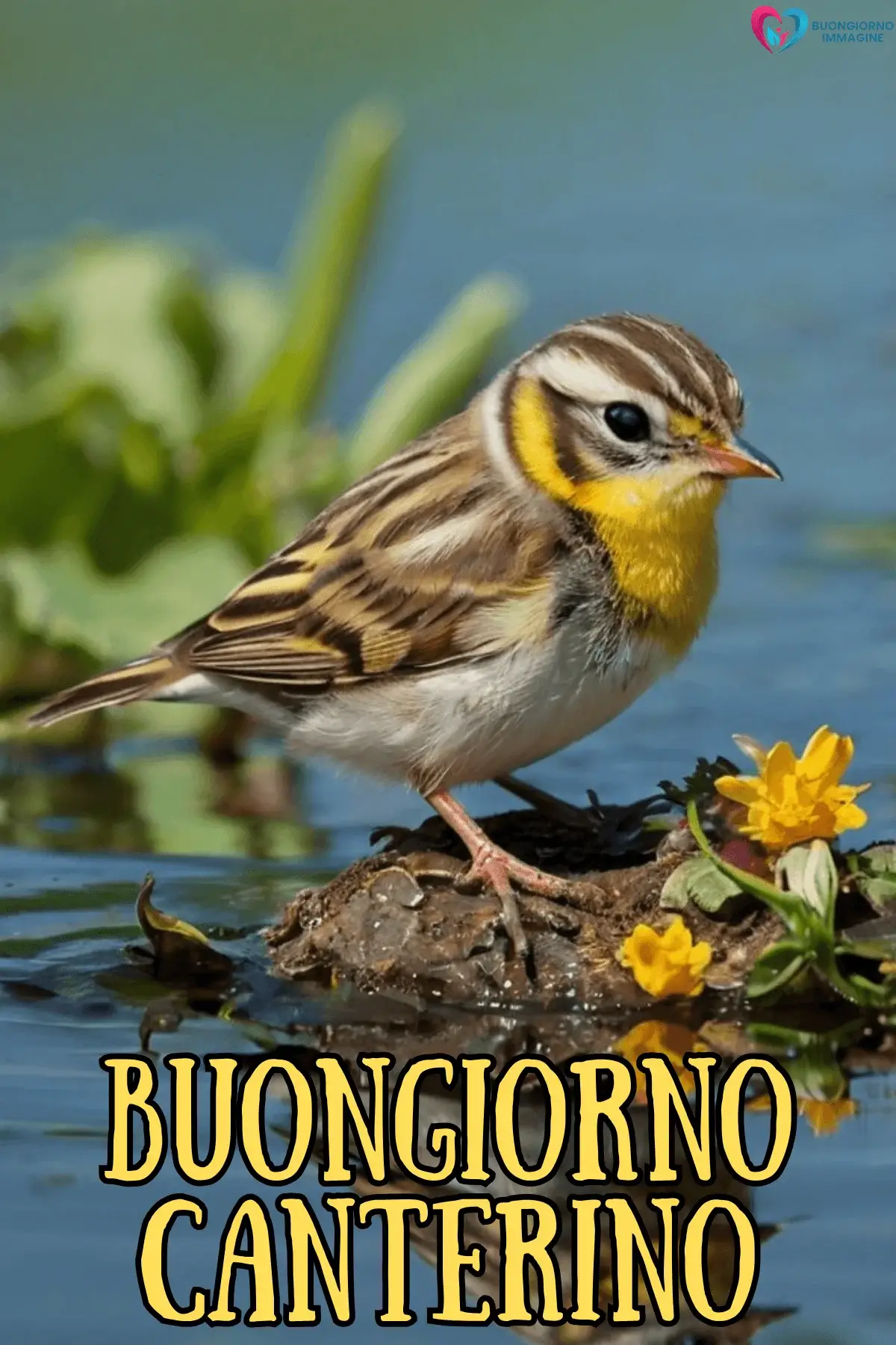 immagini buona giornata con colazione italiana