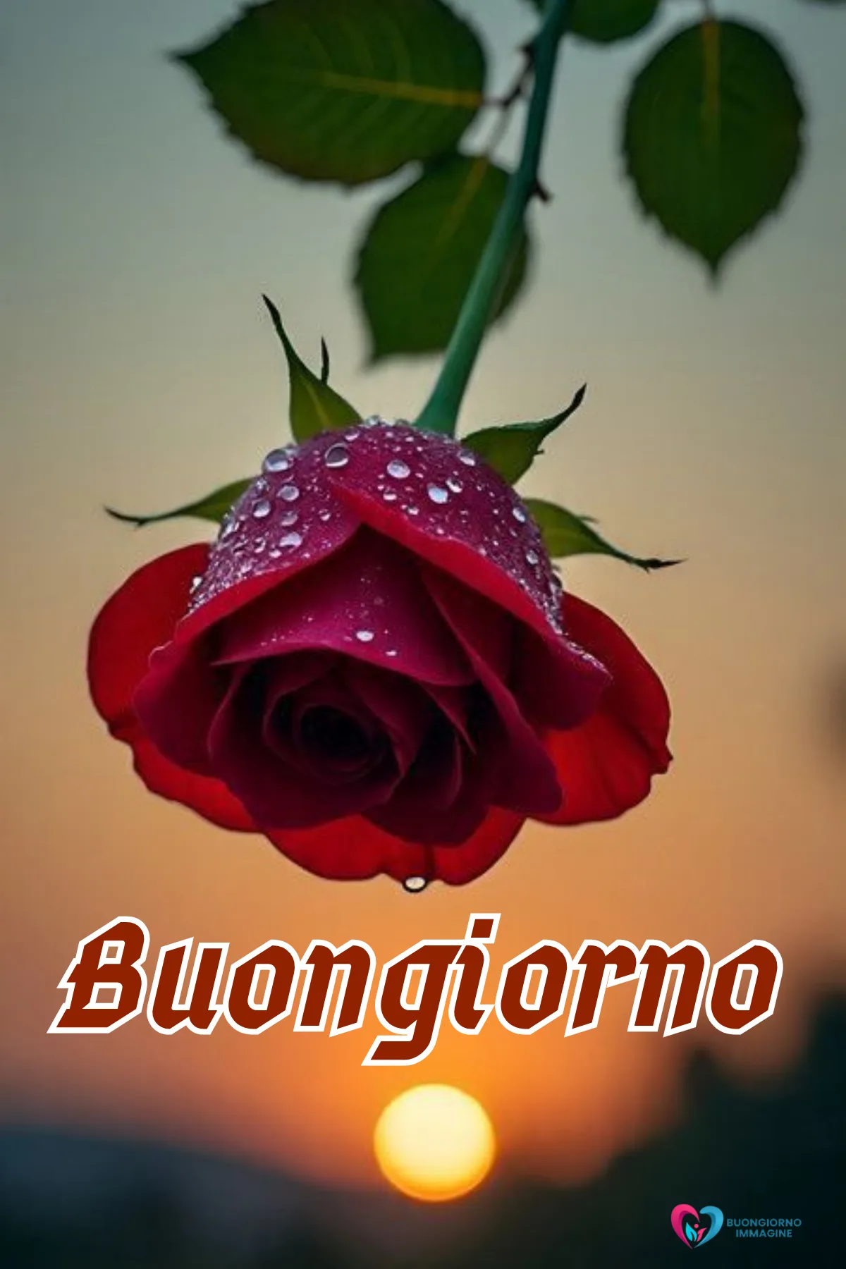 buongiorno immagini da scaricare con bouquet di rose fresche
