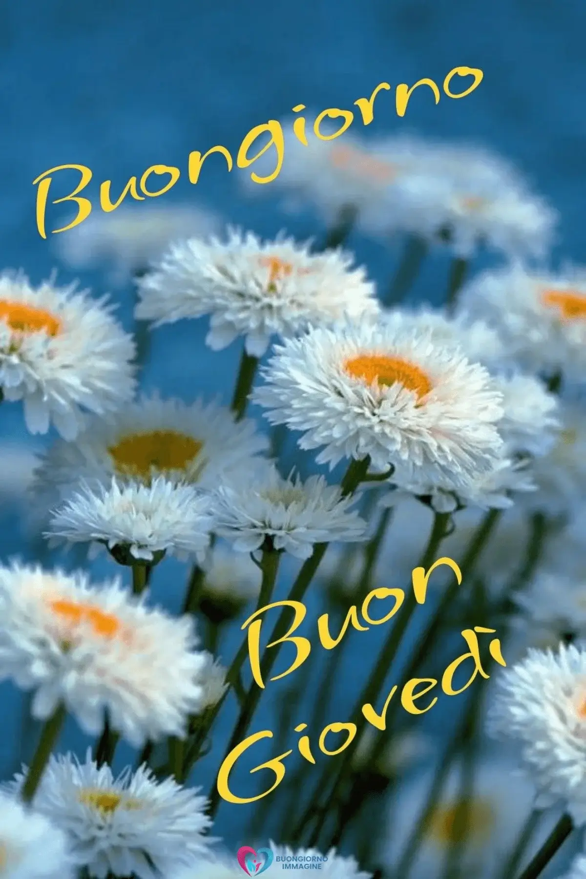 immagini buongiorno buon giovedì con tono amichevole italiano