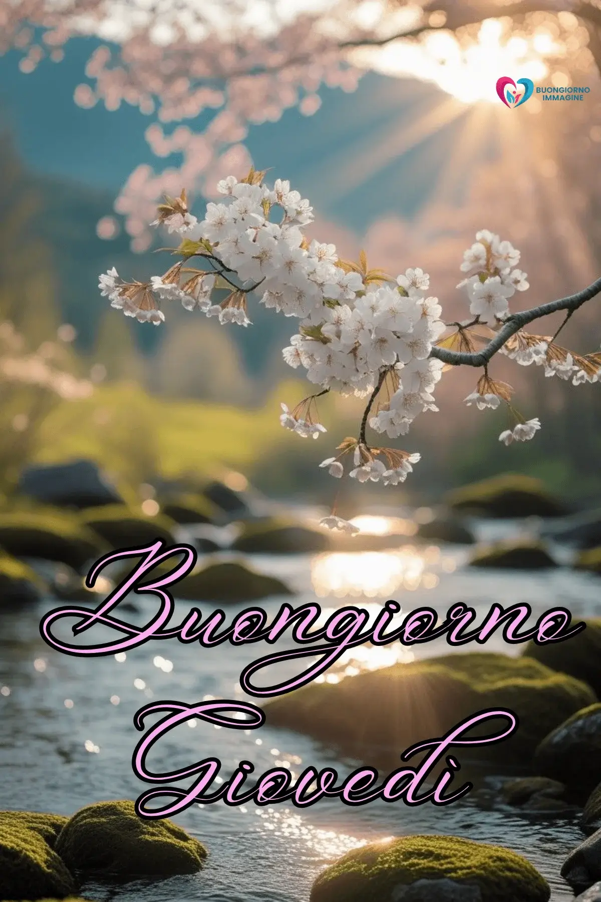 immagini buongiorno buon giovedì con vibe serena