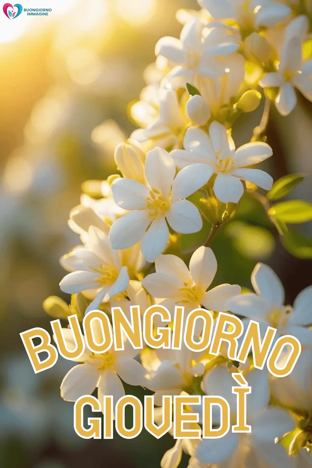 immagini buongiorno buon giovedì per amici e famiglia