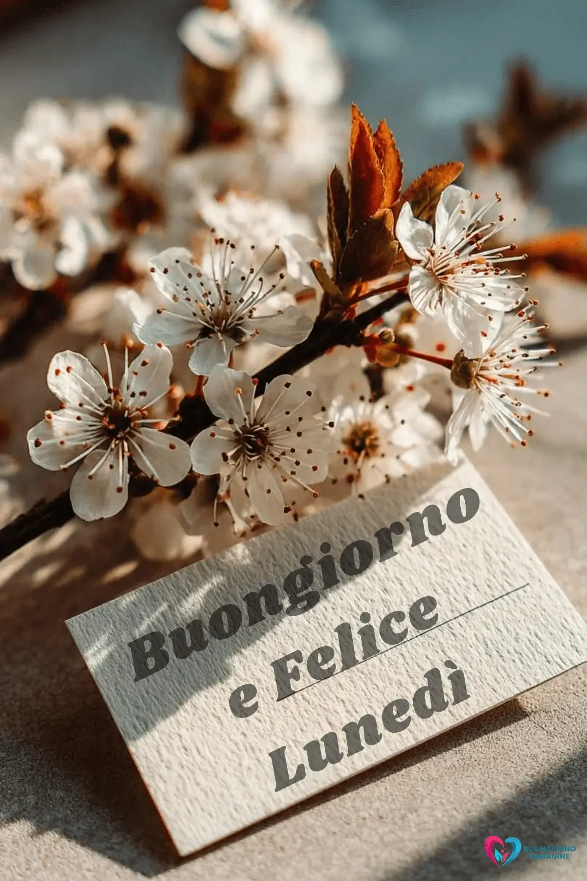 immagini buongiorno buon lunedì con design creativo