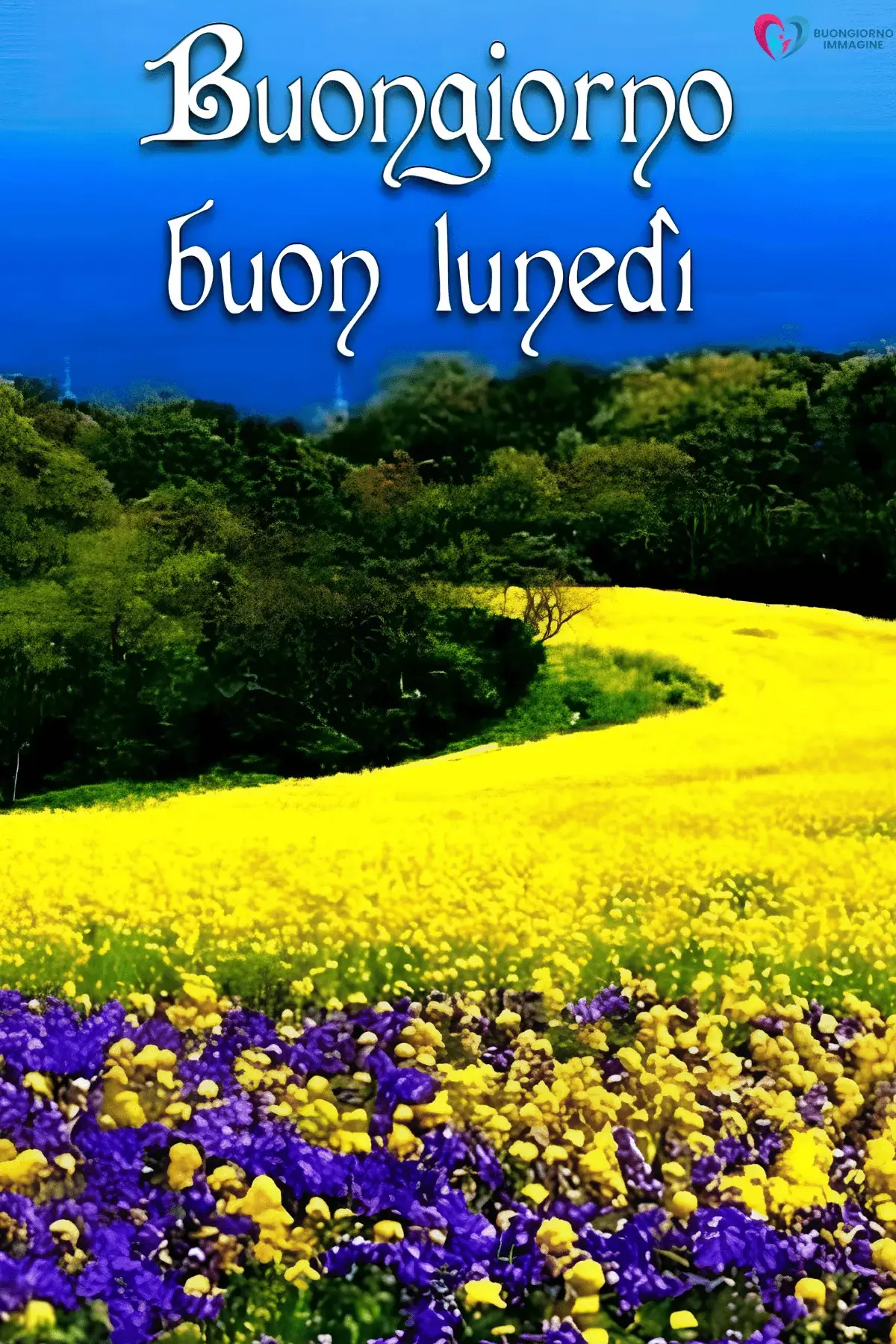 immagini buongiorno buon lunedì con fiori gialli