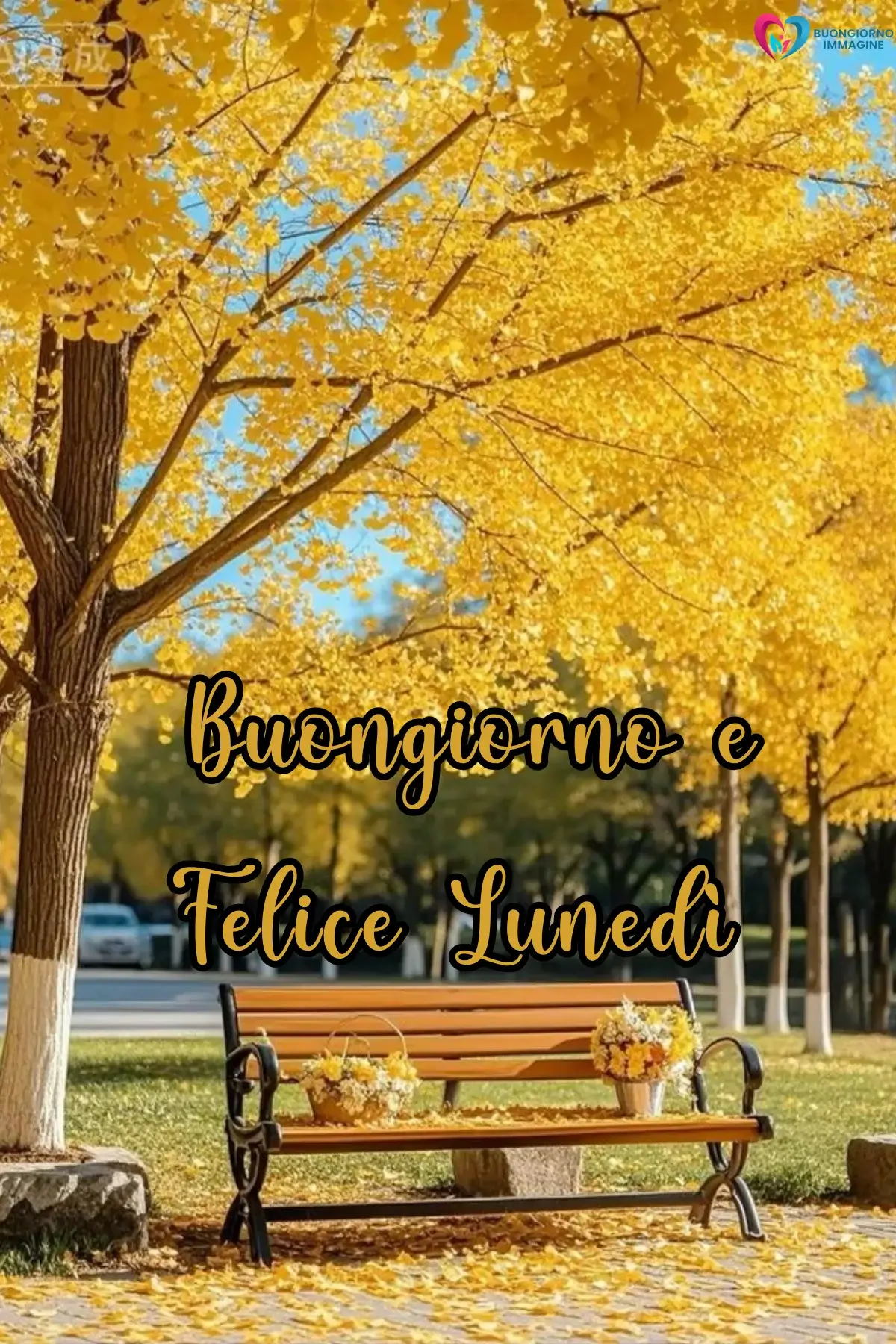 buongiorno lunedì con panchina e alberi