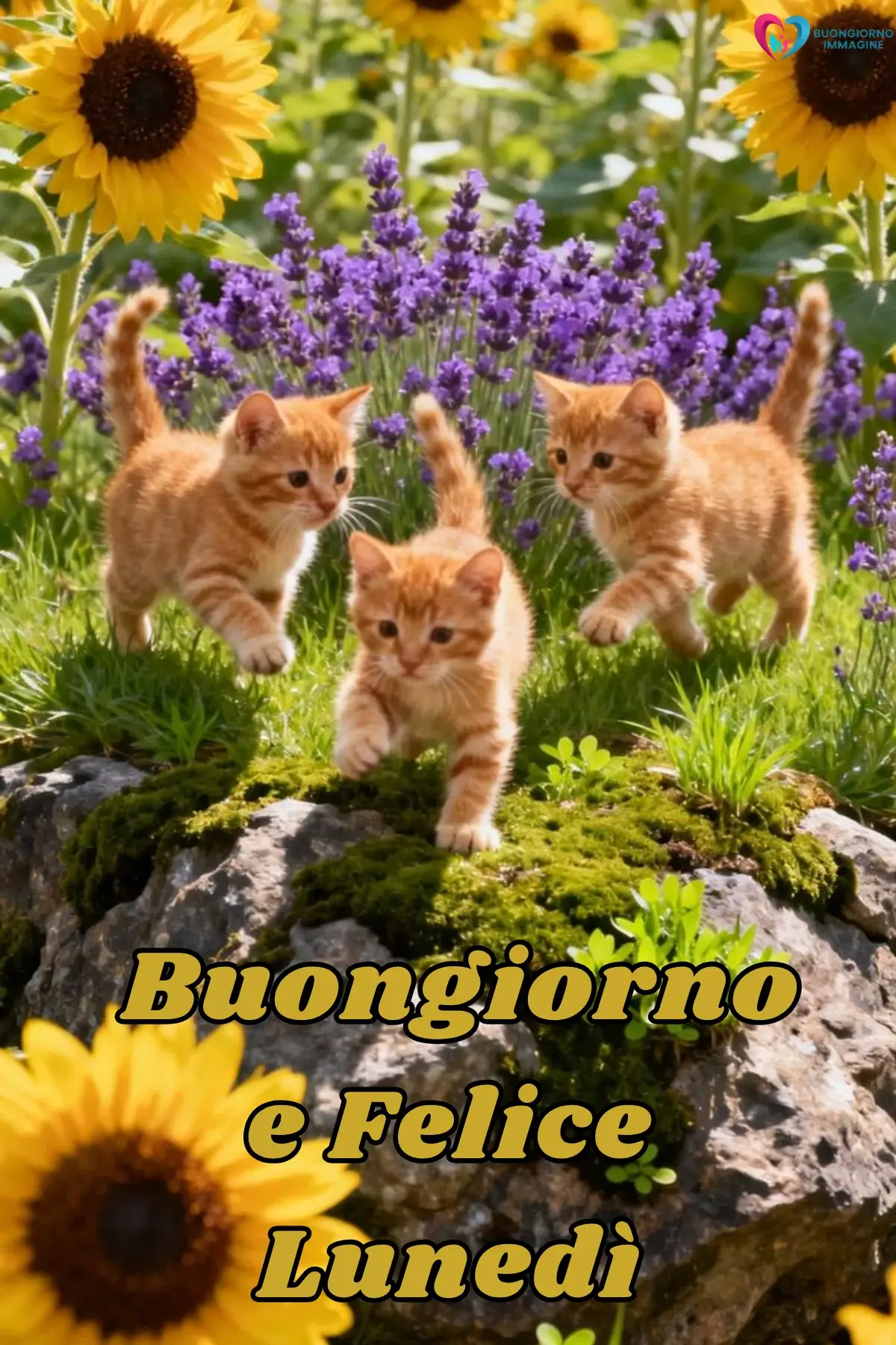 immagini buongiorno buon lunedì con sole e mare