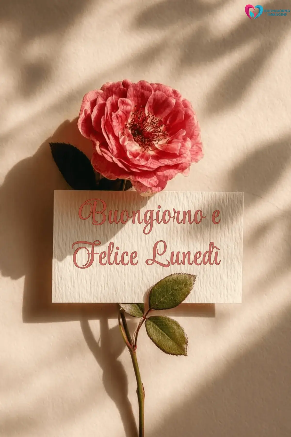 immagini buongiorno buon lunedì con sole splendente