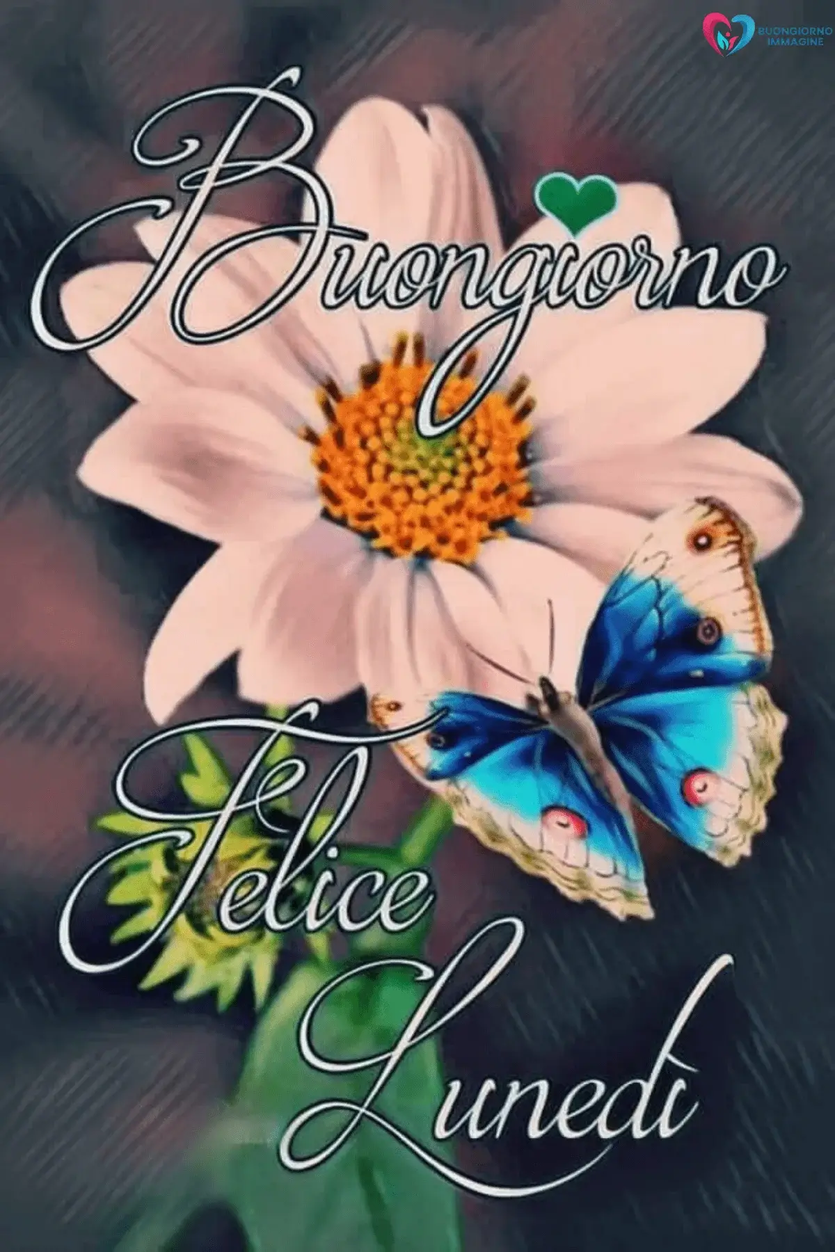 immagini buongiorno buon lunedì per WhatsApp gratis