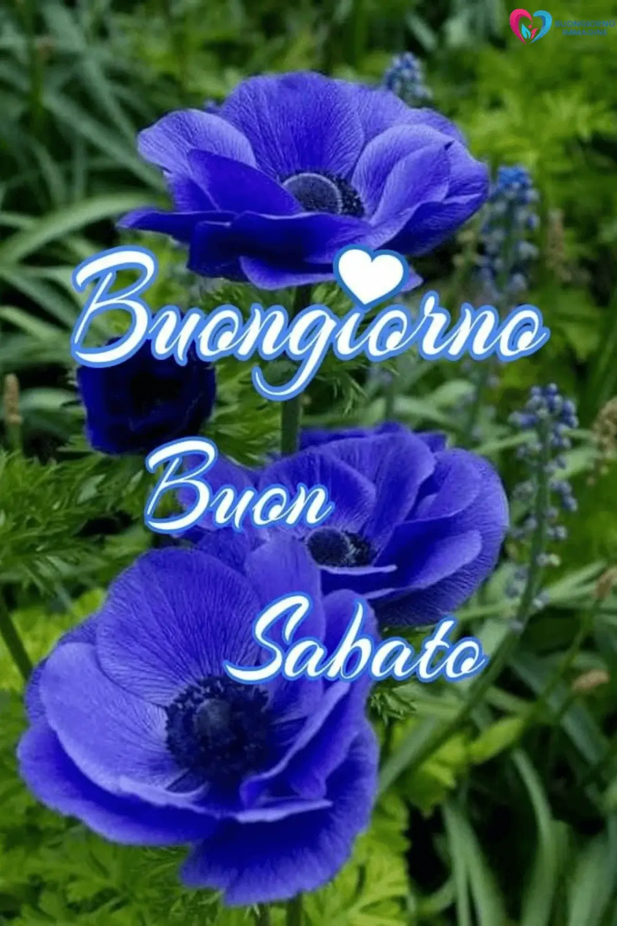immagini buongiorno buon sabato con cappuccino italiano