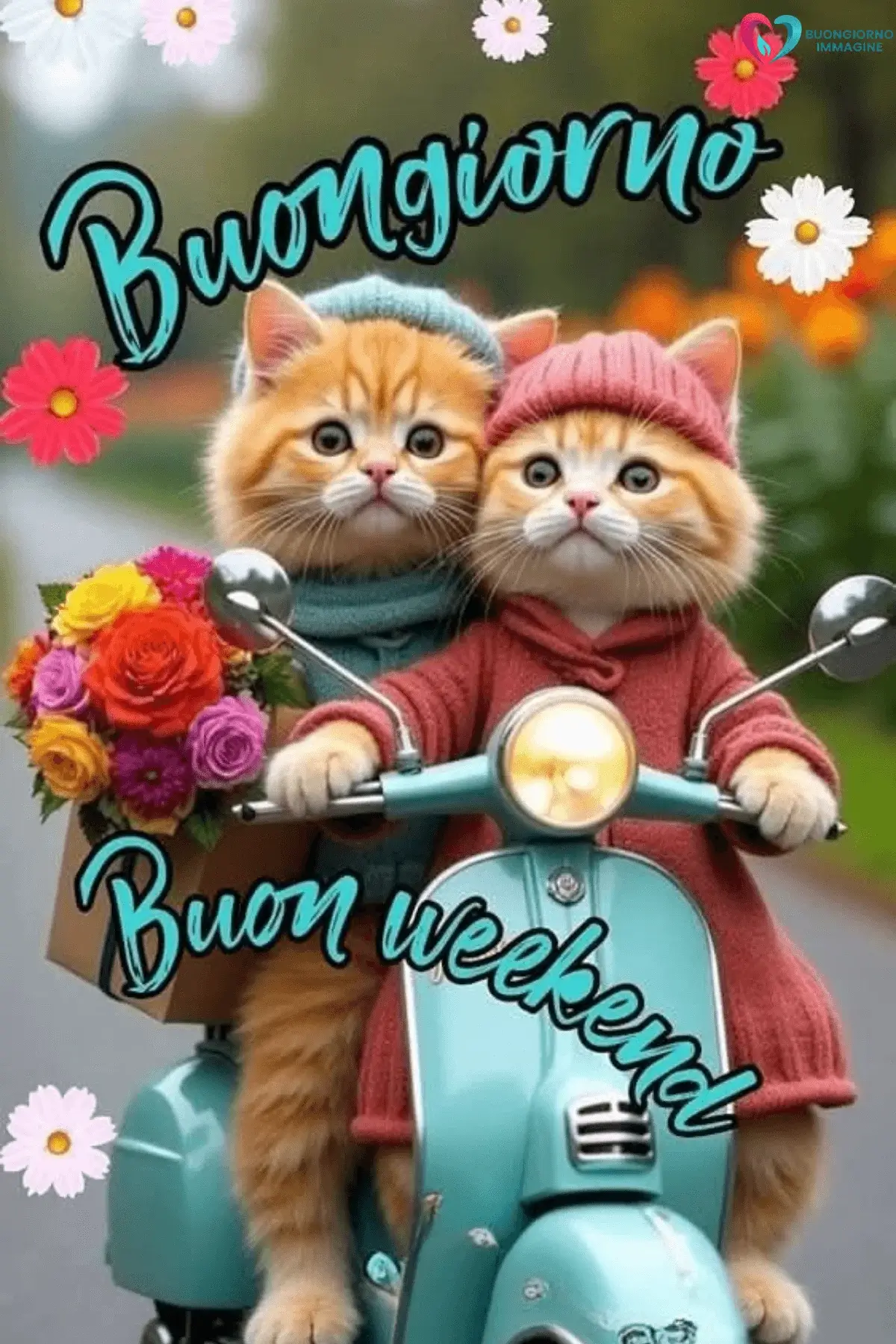 immagini buongiorno buon sabato con frase dolce