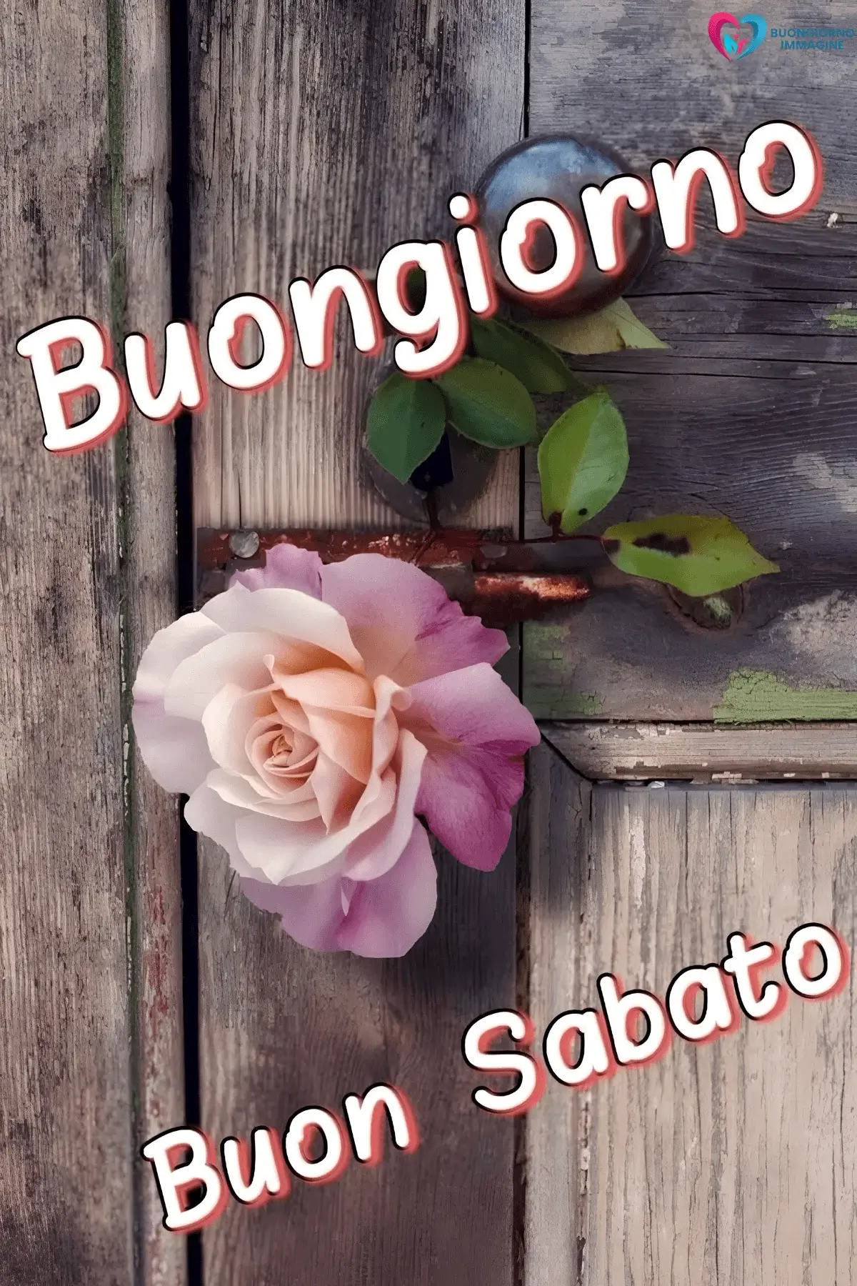 immagini buongiorno buon sabato con stile elegante