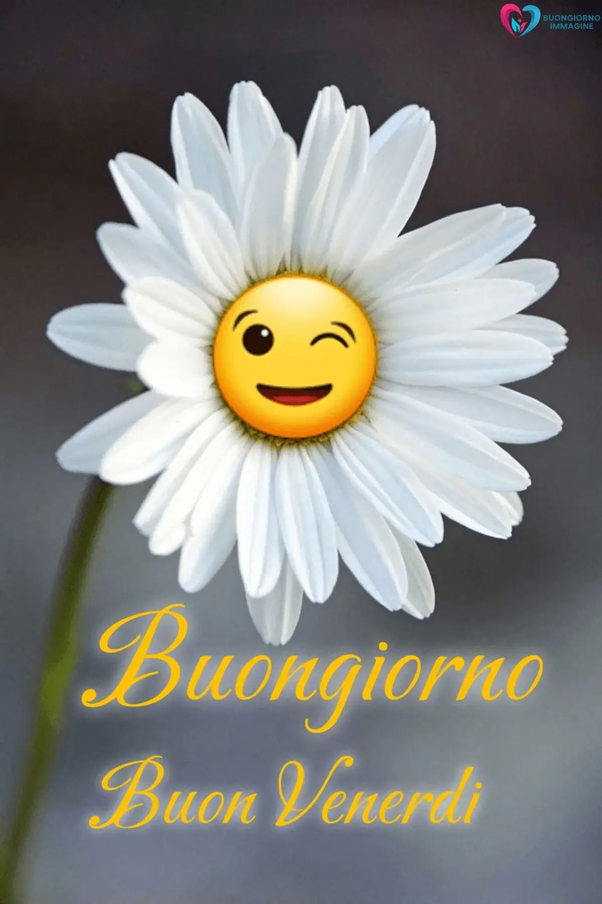 immagini buongiorno buon venerdì con stile elegante