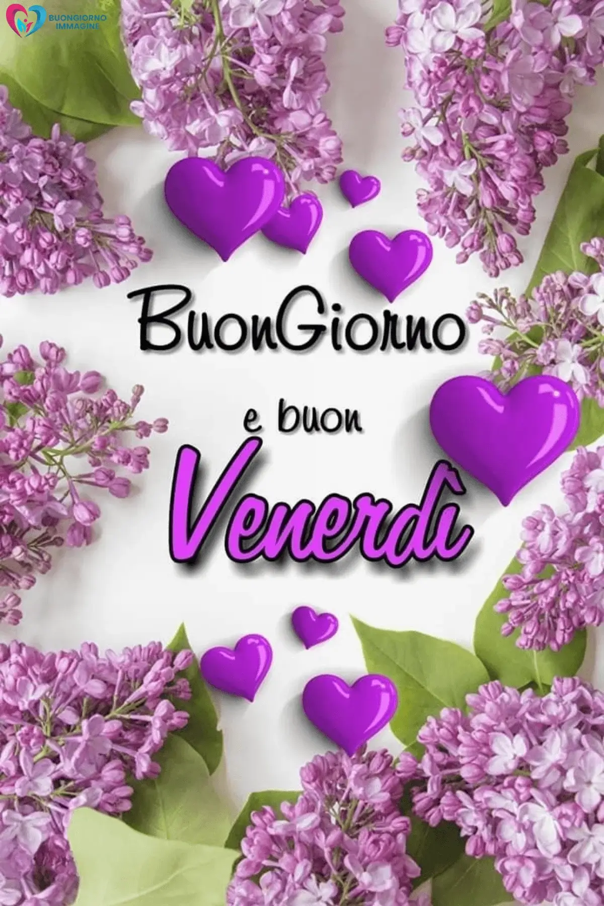 immagini buongiorno buon venerdì con vibe naturale