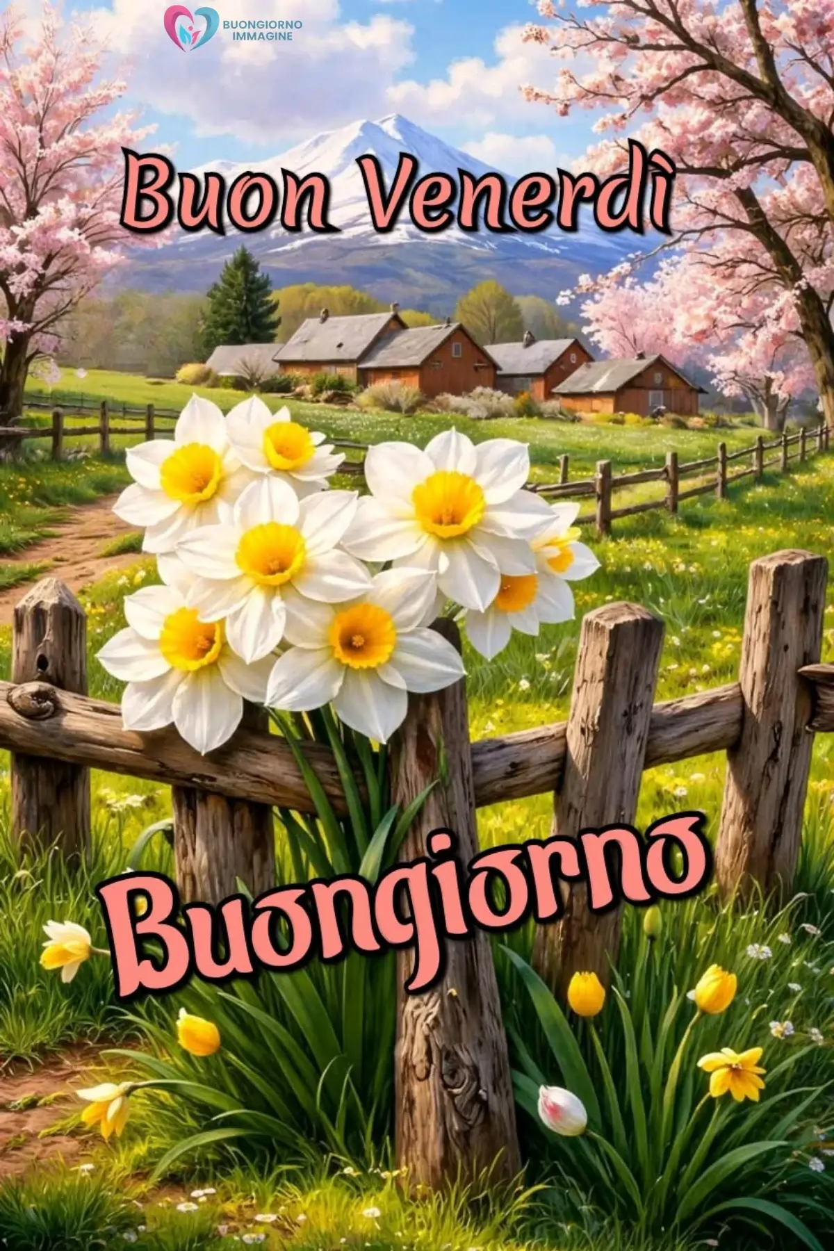 immagini buongiorno buon venerdì con vibe serena