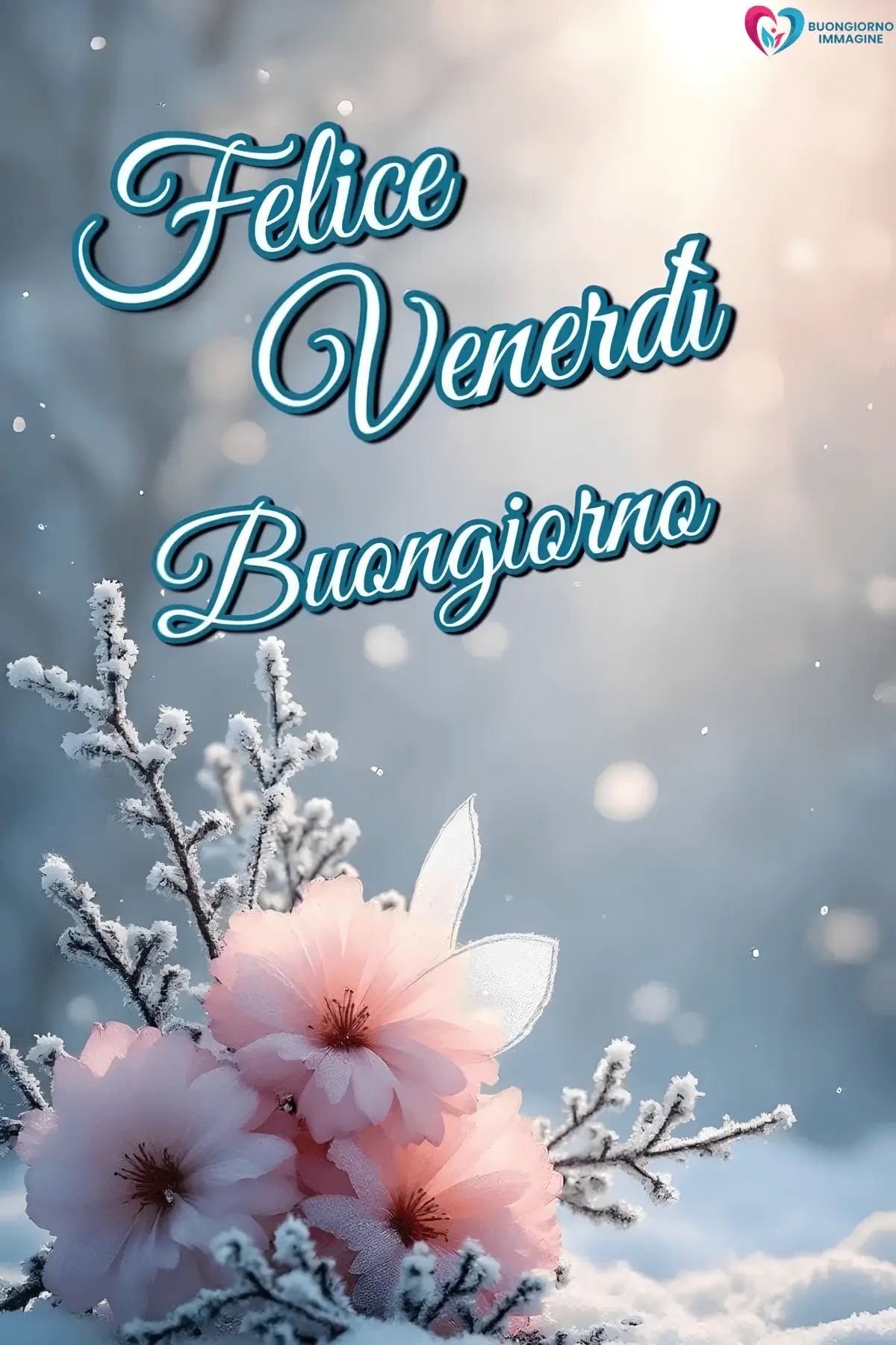 immagini buongiorno buon venerdì da inviare su chat