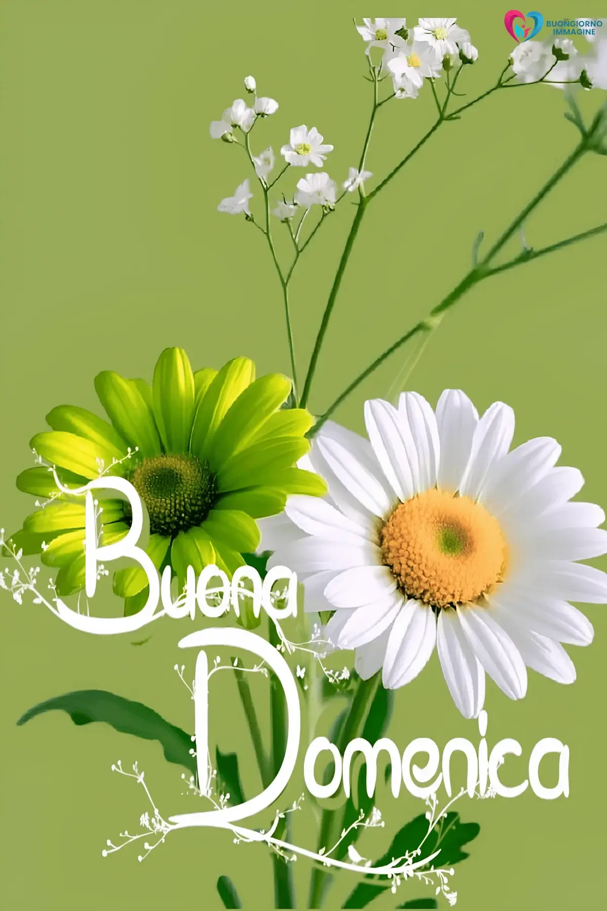 immagini buongiorno buona domenica con atmosfera positiva