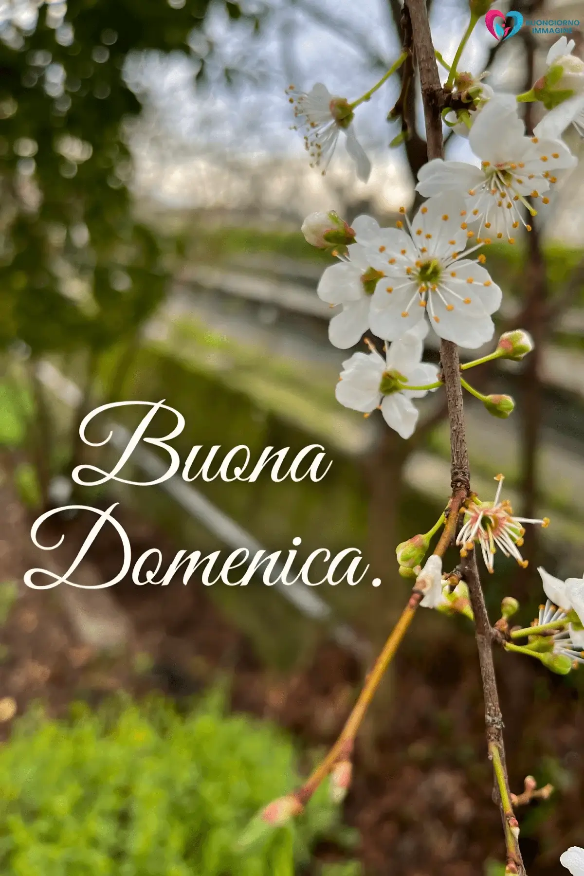 immagini buongiorno buona domenica con cielo azzurro